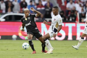 LDU vence Botafogo por 2 a 0 e elimina atual campeão da Libertadores img_9392-1.jpg