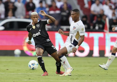 LDU vence Botafogo por 2 a 0 e elimina atual campeão da Libertadores